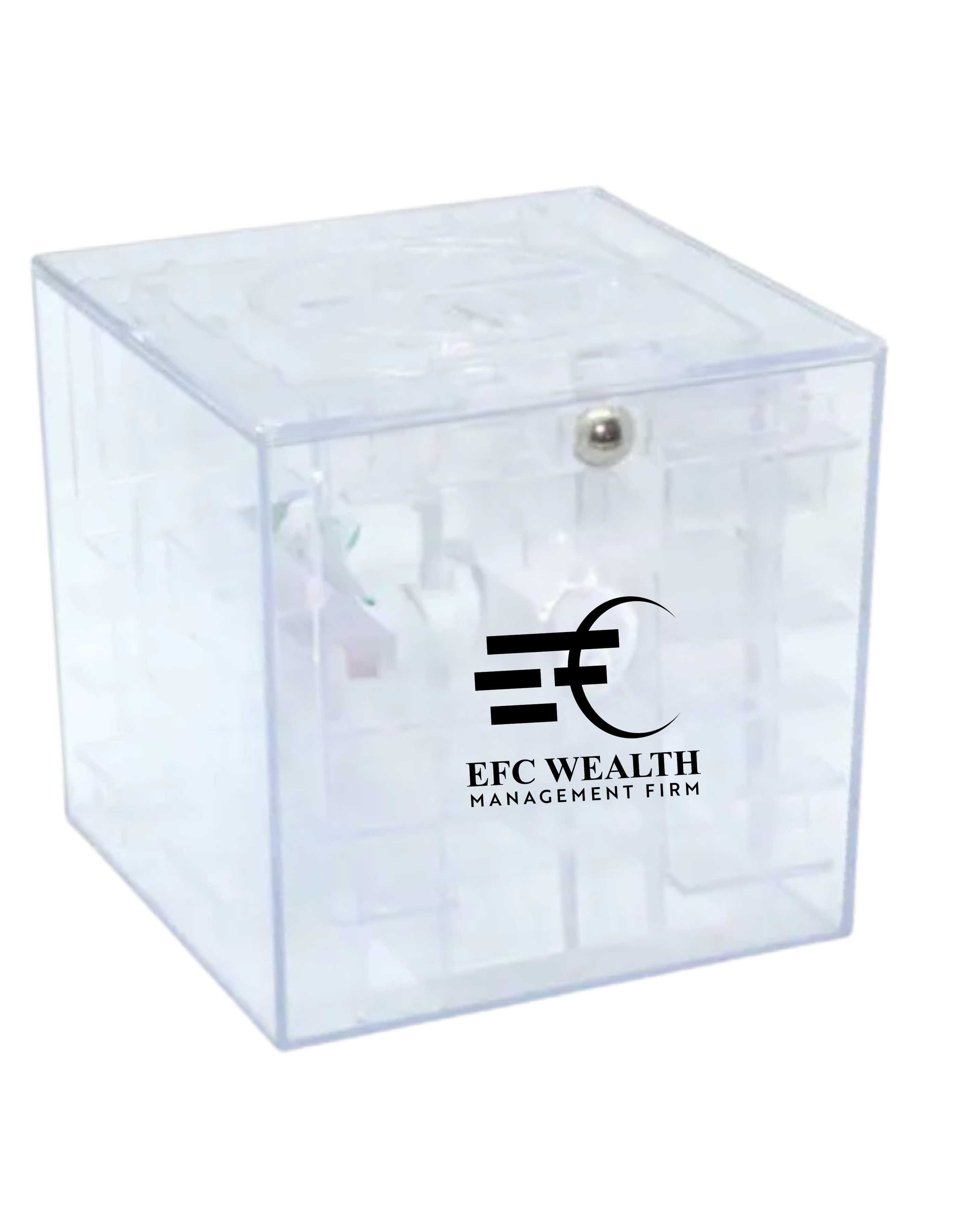 EFC Money Maze Cube Bank