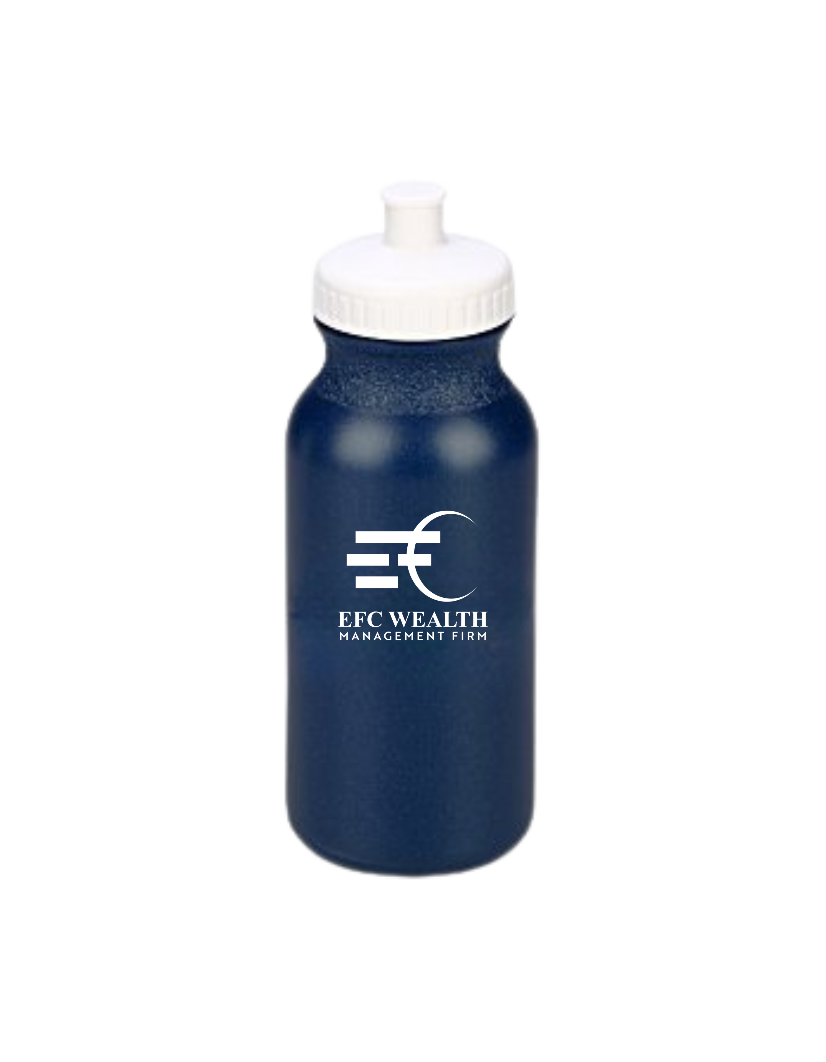 Sport Bottle with Push Pull Lid - 20 oz. - Metallic